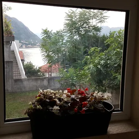 Apartments 101 Котор Номер фото